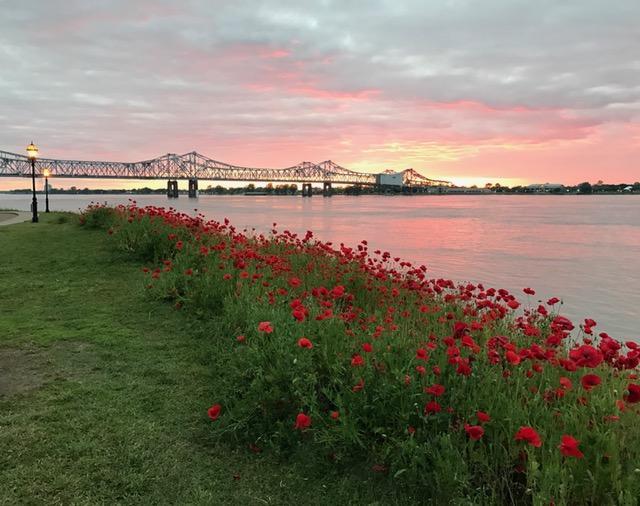 Riverboat 3* Natchez